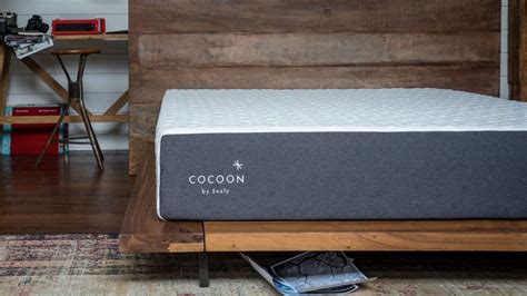 Sealy Cocoon Mattress Reviews
